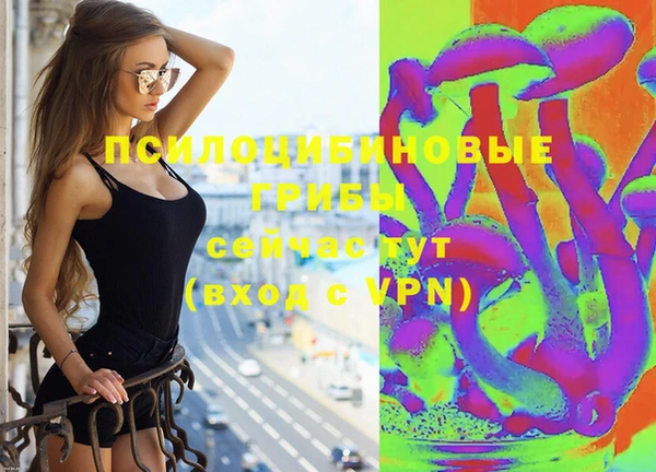 хмурый Пересвет