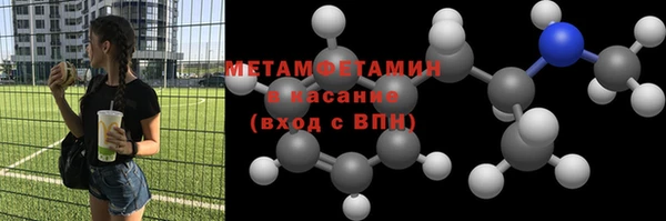 хмурый Пересвет