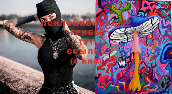 дурь Галич