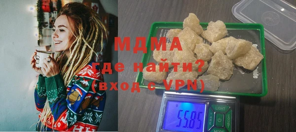 хмурый Пересвет