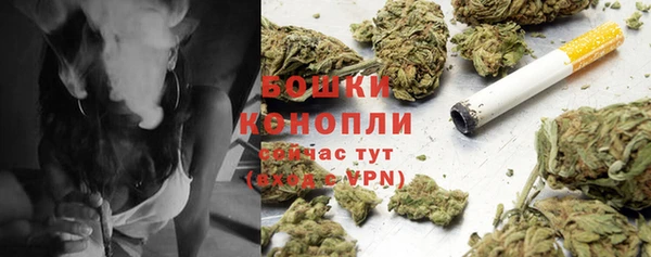хмурый Пересвет
