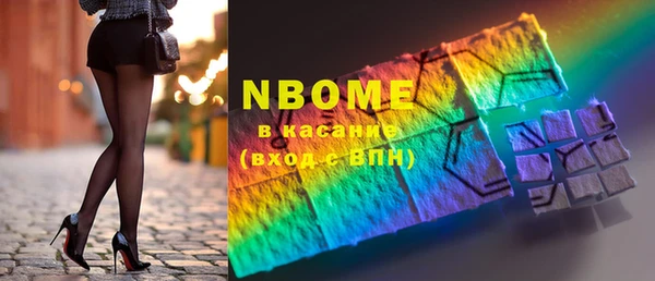 хмурый Пересвет