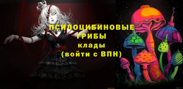 твердый Абаза