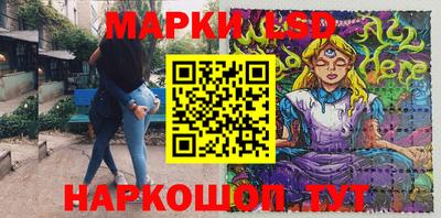 spice Новодвинск