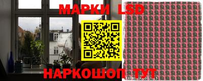 spice Новодвинск