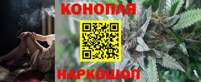 индика Новокубанск