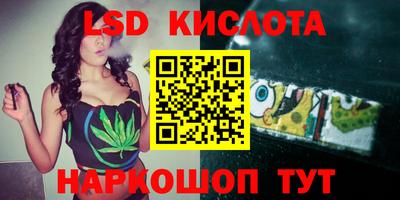 spice Новодвинск