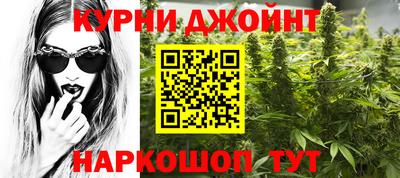 индика Новокубанск