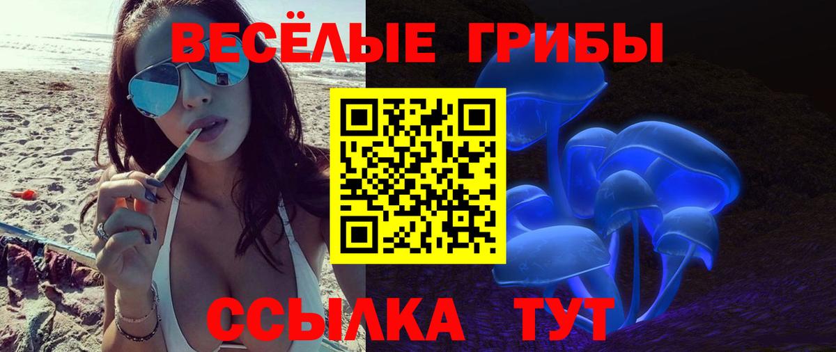 Галлюциногенные грибы мицелий  Вход с VPN  Псилоцибиновые грибы мицелий  Сальск 