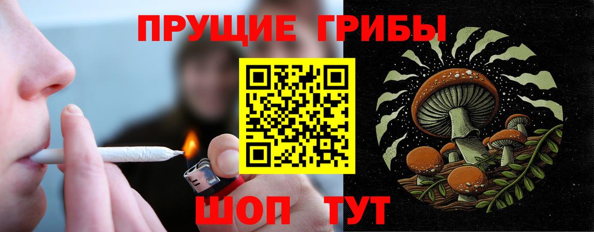 Галлюциногенные грибы мицелий Сальск